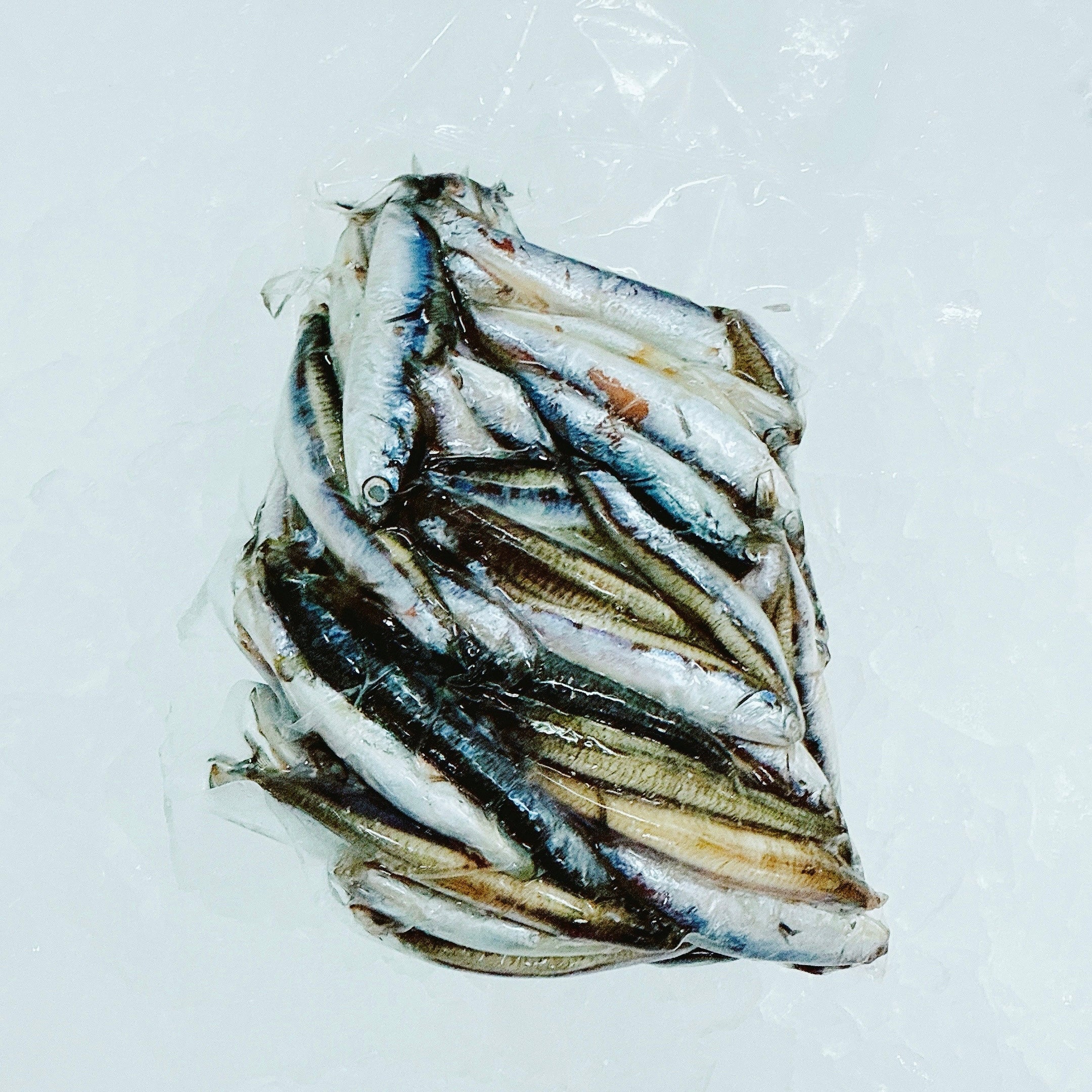 AUSTRALIAN ANCHOVIES 500G