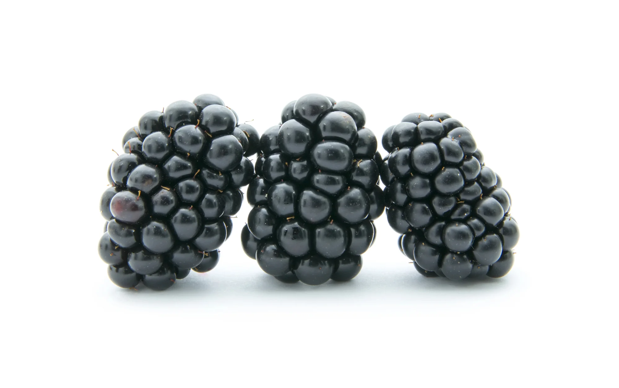 BLACKBERRIES PREMIUM (1 PUNNET)