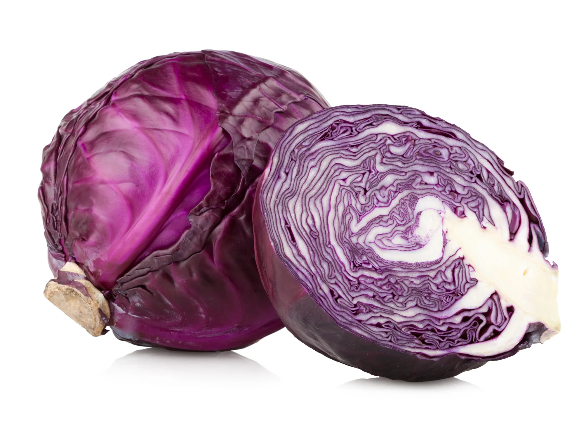 CABBAGE RED (HALF)