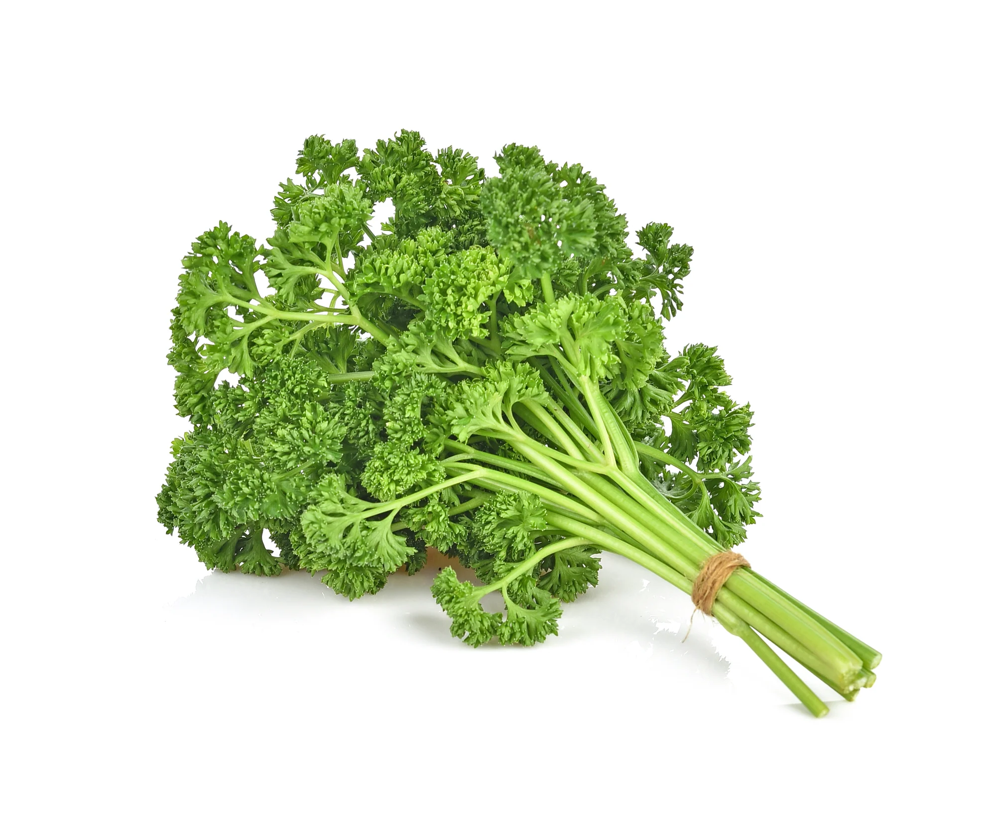 PARSLEY AUSTRALIAN (1 BUNCH)