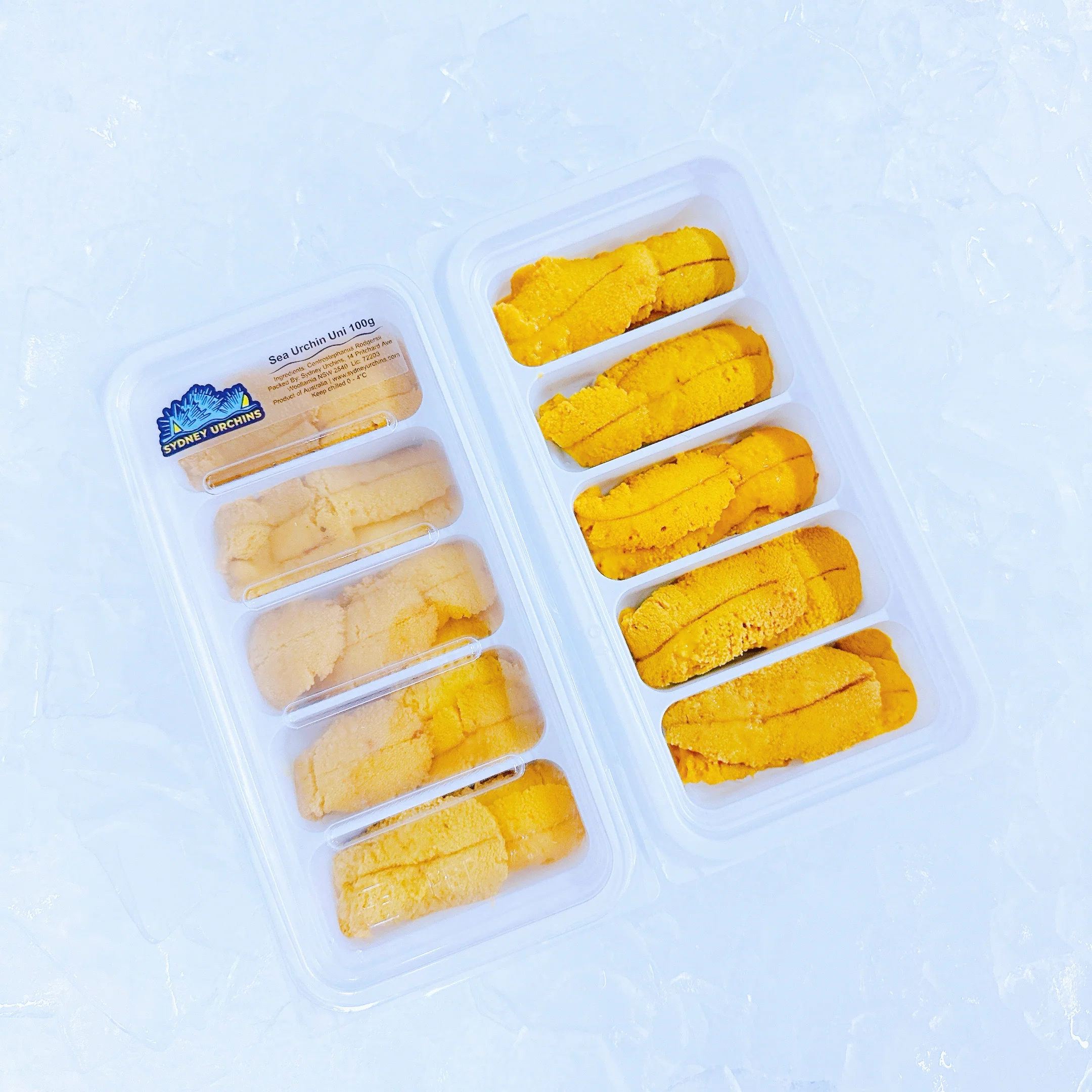 PREMIUM SYDNEY SEA URCHIN ROE (100G TRAY)