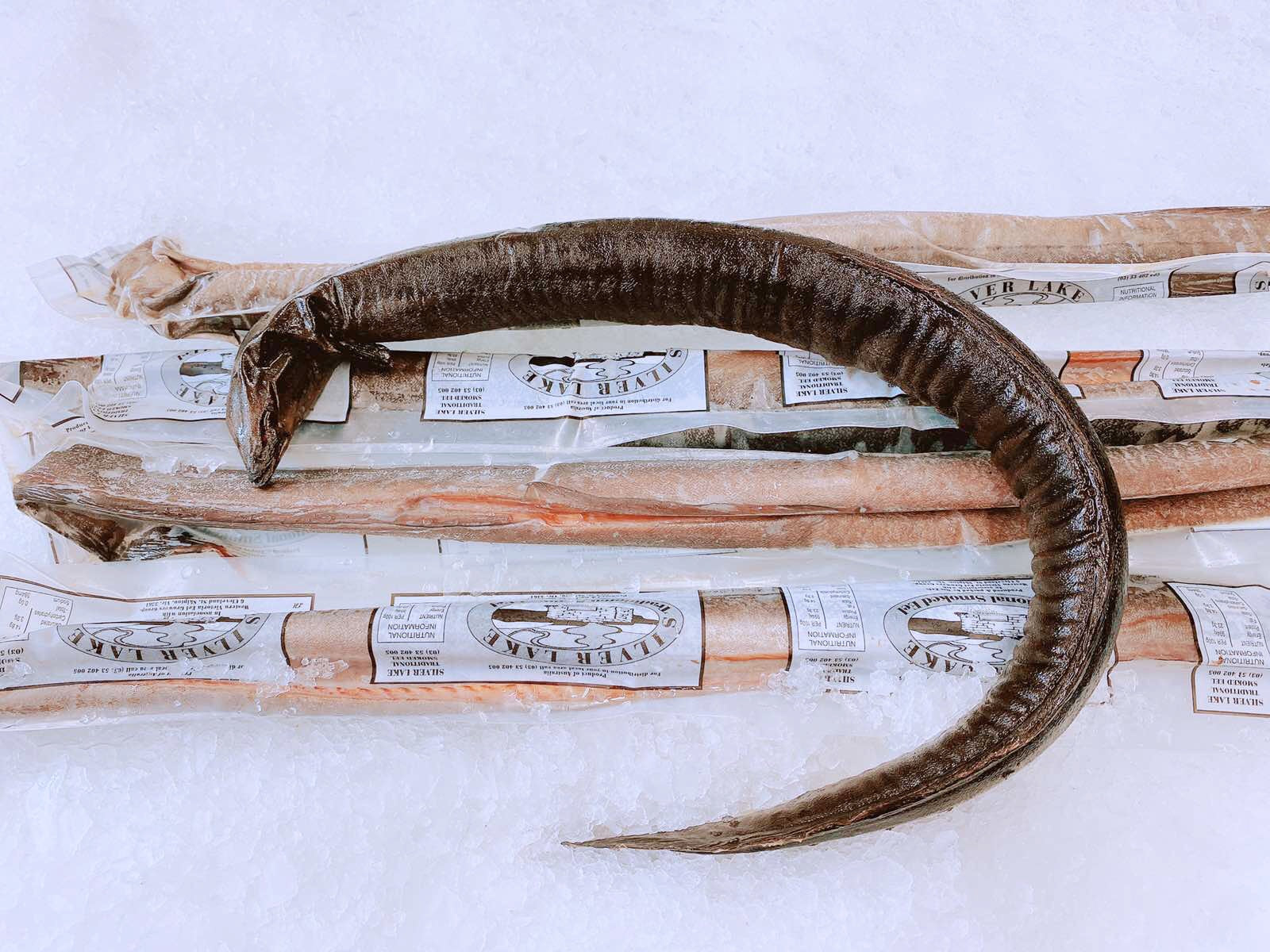 SILVER LAKE WHOLE SMOKED EELS 500G - 600G