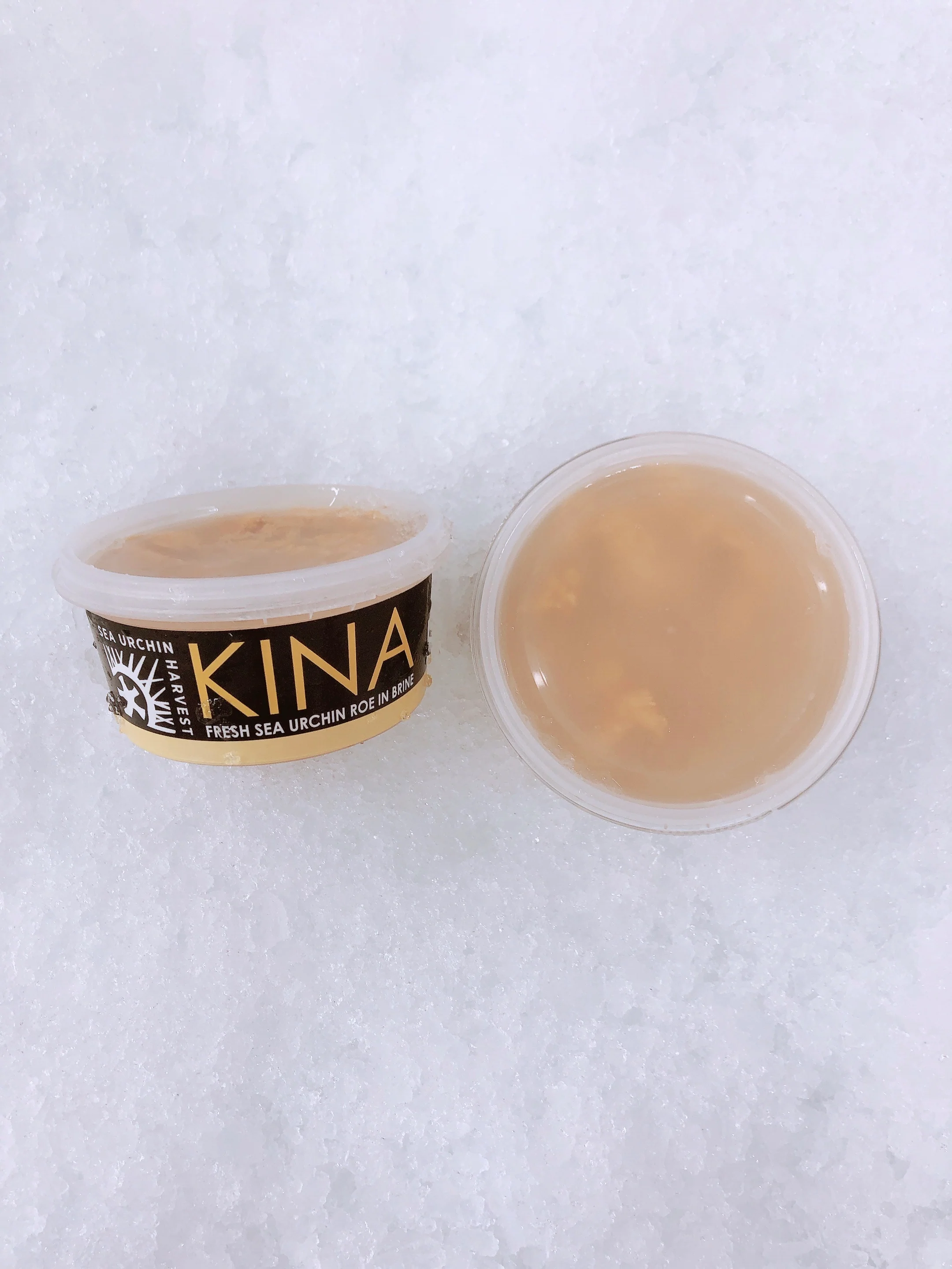 WILD SOUTH COAST SEA URCHIN ROE (KINA) PER PUNNET